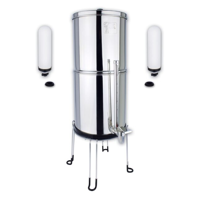 Stainless steel water filter system with fluoride filters and stand